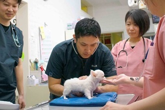 くじら動物病院　岡崎病院の画像6