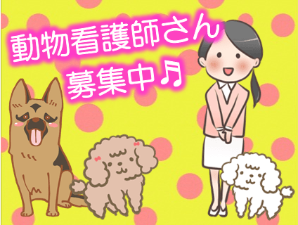 松戸市 千葉県 動物看護師 Vt 病院スタッフの求人 転職 募集情報一覧 アニマルジョブ