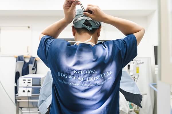 犬と猫の病院Kendoc.の画像10