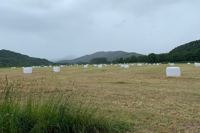 澤里牧場の画像11