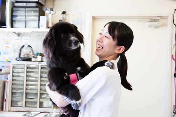 さわもと犬猫病院の画像11