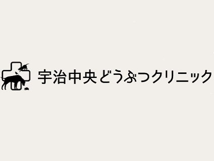 京都府 動物看護師 Vt 病院スタッフの求人 転職 募集情報一覧 アニマルジョブ