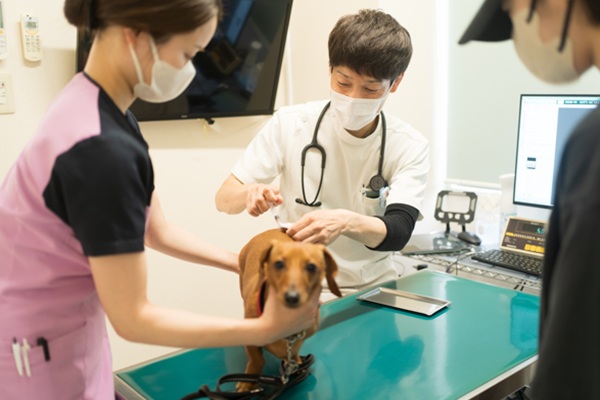 さわもと犬猫病院の画像8