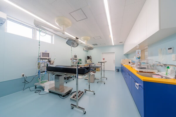 くじら動物医療センターの画像8