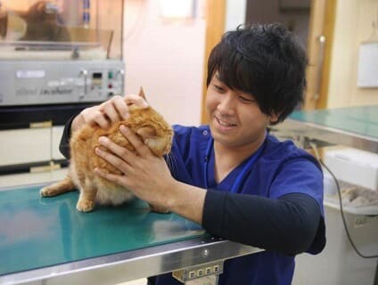 アニファ動物病院 五香病院 獣医師募集中 正社員 千葉県松戸市 No 110 B 獣医師の求人 転職 募集ならアニマルジョブ