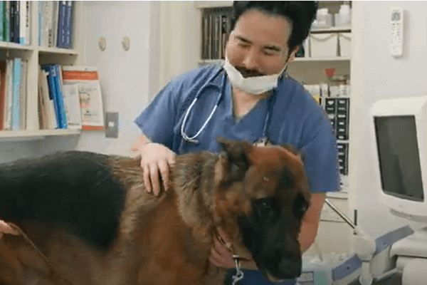 アフィネ動物病院の画像3