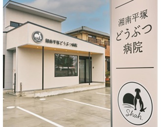 獣医師／入社1年目（2025年時点）