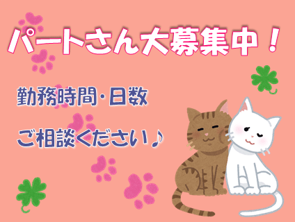 湘南動物愛護病院 トリマー兼動物看護師 パート 大募集中 神奈川県茅ヶ崎市 No 314 D トリマーの求人 転職 募集ならアニマルジョブ