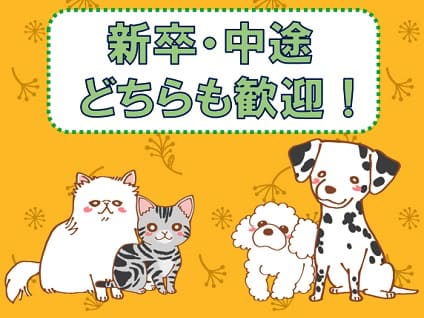 かしわだい動物病院 獣医師 正社員 大募集中 神奈川県海老名市 No 314 D 獣医師の求人 転職 募集ならアニマルジョブ