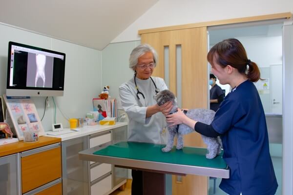 伊北動物病院の画像2