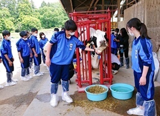 有限会社市の瀬牧場の画像9