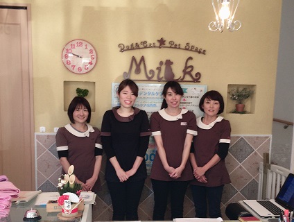 ペットショップmilk 株式会社ymsコーポレーションの求人情報 静岡県掛川市 獣医師 動物看護師 トリマーならアニマルジョブ