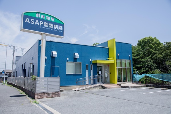 ASAP動物病院の画像12