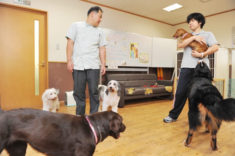 ウィズ ドッグ ドッグトレーナー募集 アルバイト パート 愛知県名古屋市港区 南区 トレーナーの求人 転職 募集ならアニマルジョブ