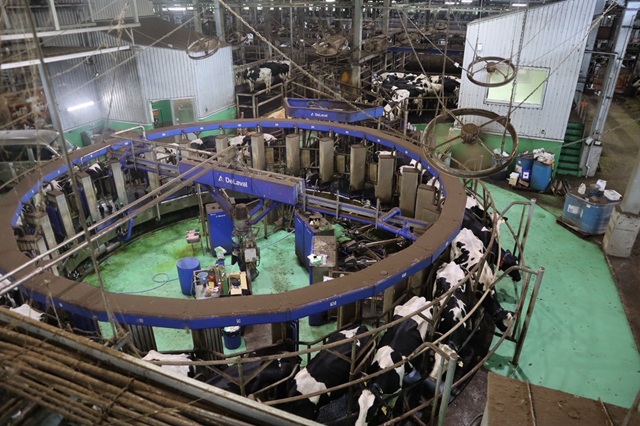 株式会社松永牧場（松永牧場グループ）の画像9