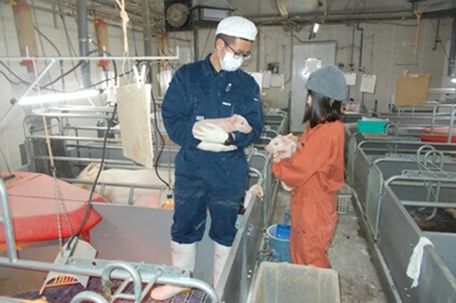 有限会社ビィクトリーポークの画像5
