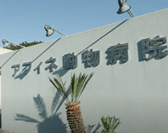 獣医師／入社2年目