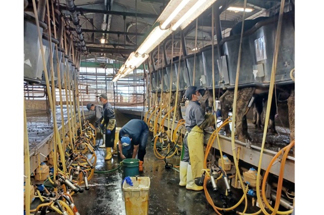 有限会社農業生産法人霞南牧場の画像9