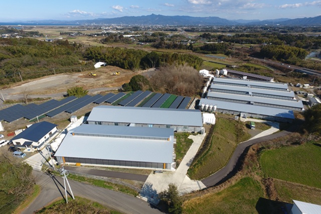 有限会社サン・ファーム橋口の画像9