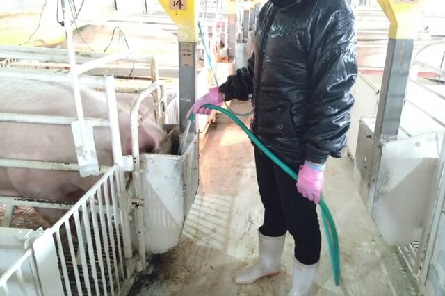 有限会社石坂ファームの画像6