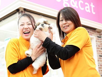 ケン ワン 春日井篠木店 ショップ店員さん募集 パート アルバイト 愛知県春日井市 ペットショップ店員の求人 転職 募集ならアニマルジョブ