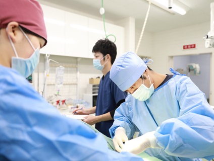 くじら動物病院　豊橋病院の画像6