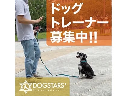 Dogstars School Resort ドッグトレーナー募集 正社員 神奈川県横浜市中区 No 107 B トレーナーの求人 転職 募集ならアニマルジョブ