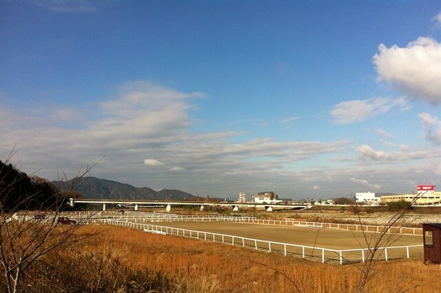 株式会社水口スポーツセンター／水口乗馬クラブの画像5