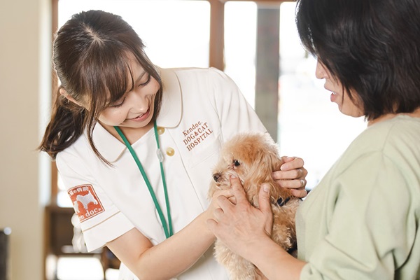 犬と猫の病院Kendoc.の画像12