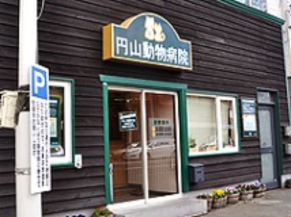 円山動物病院 獣医師の募集 正社員 北海道札幌市中央区 No 104 D A0b7focf9qao 獣医師の求人 転職 募集ならアニマルジョブ