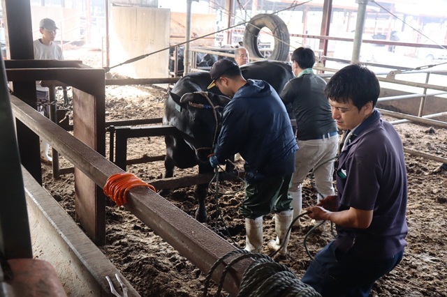 株式会社松永牧場（松永牧場グループ）の画像4