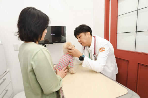 犬と猫の病院Kendoc.の画像9