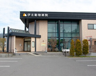 獣医師／入社9年目