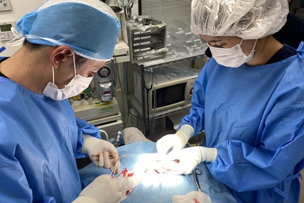 淀川中央動物病院の画像4