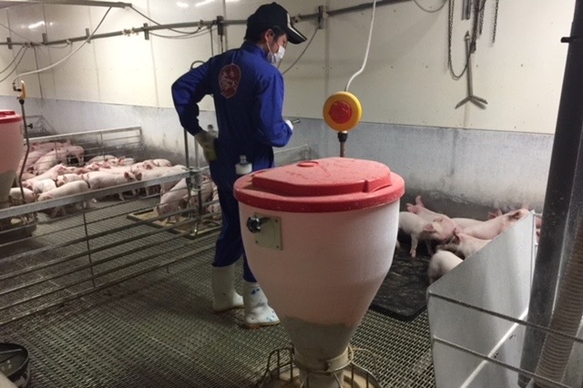 有限会社よしいの画像3
