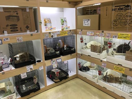 ペットアミ岩出店 トリマーさんを募集中 アルバイト パート 和歌山県岩出市 No 110 B トリマーの求人 転職 募集ならアニマルジョブ