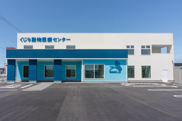 くじら動物医療センターの画像12