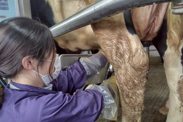 有限会社首藤牧場の画像6