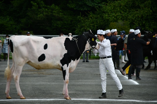 小岩井農牧株式会社の画像8