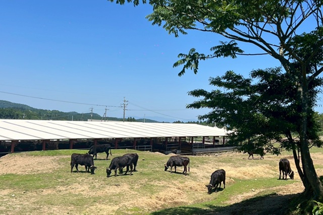 藤本畜産株式会社の画像9