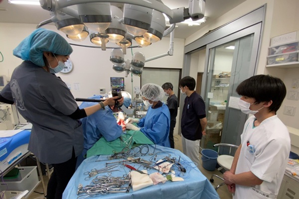 淀川中央動物病院の画像3