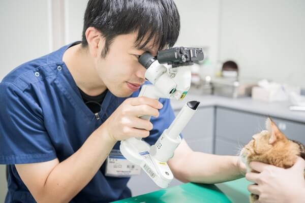 市原山口動物病院の画像5