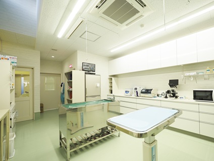 くじら動物病院　豊橋病院の画像10