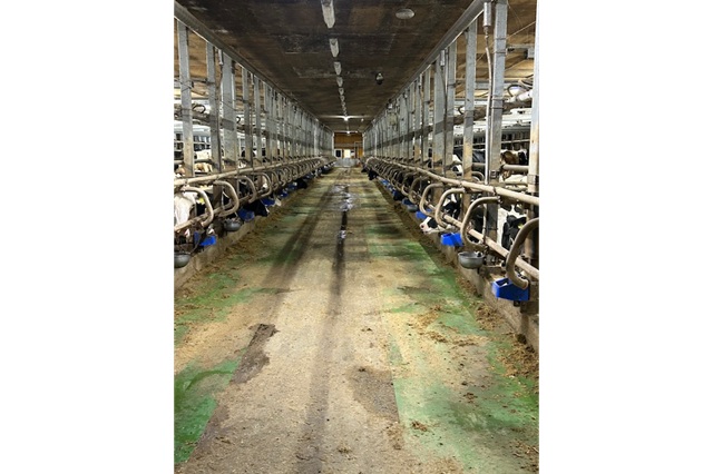 くろだ牧場株式会社の画像4