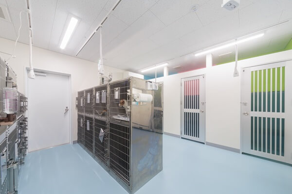 くじら動物医療センターの画像9