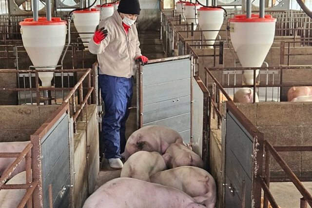 有限会社石坂ファームの画像9