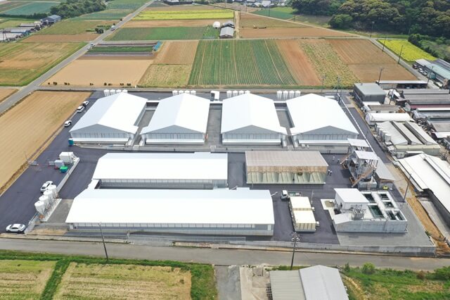 有限会社松井畜産の画像12