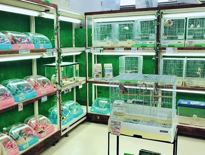 ペットアミ新津店のトリマー アルバイト パート求人 新潟県新潟市秋葉区のペットサロン ペットホテル アニマルジョブ