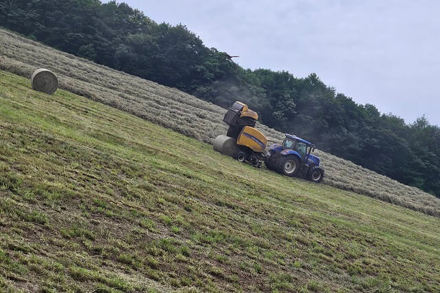 株式会社前森山集団農場の画像11