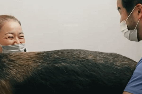アフィネ動物病院の画像4